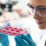 regeneración celular